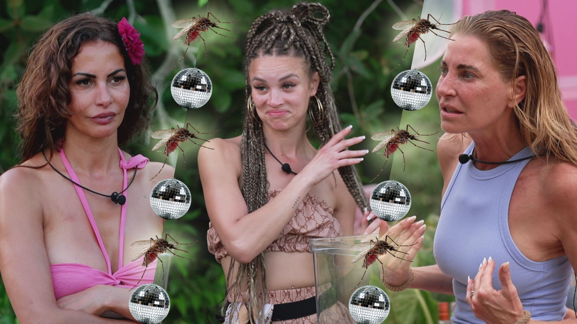 Erste Schlammschlacht: Für welche Diva ist die Party vorbei?