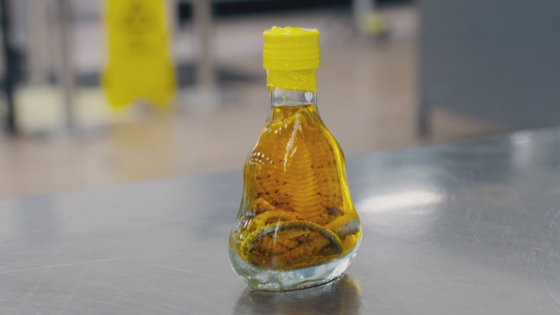 BORDER PATROL NEW ZEALAND - EINSATZ AN DER GRENZE - STAFFEL 15 FOLGE 002