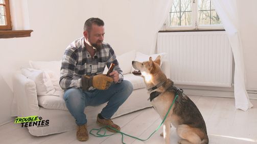 Trouble Teenies auf 4 Pfoten - Einsatz für den Welpentrainer TROUBLE TEENIES AUF 4 PFOTEN - EINSATZ FÜR DEN WELPENTRAINER - 02. STAFFEL Folge 4: Neuer Tag und neue Probleme bei den Trouble Teenies