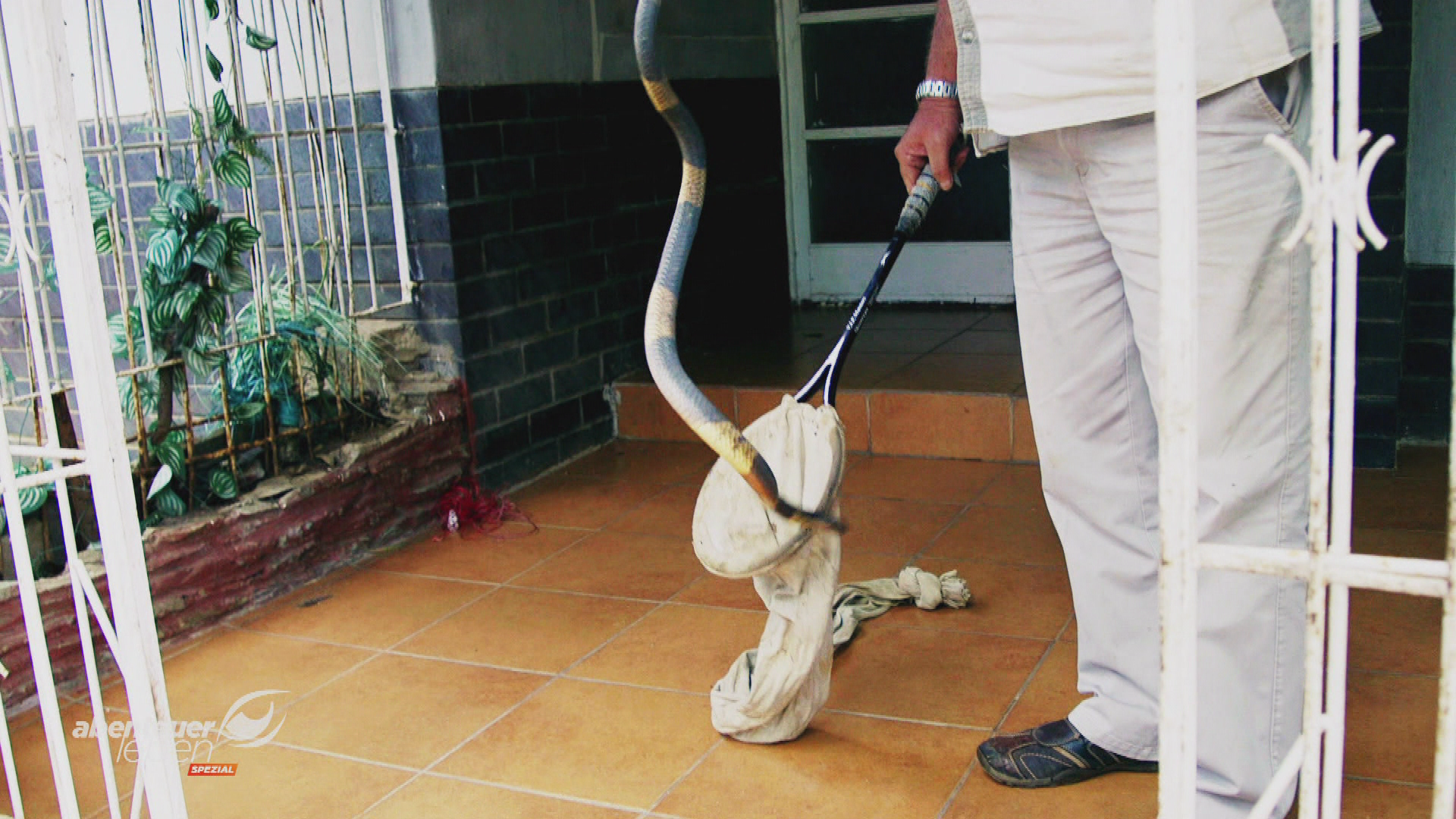 Ungewöhnliche Jobs weltweit: Schlangenfänger, Essigpapst & Mönch-Barkeeper