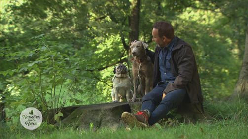 Haustier sucht Herz Haustier sucht Herz Folge 3: Folge 3