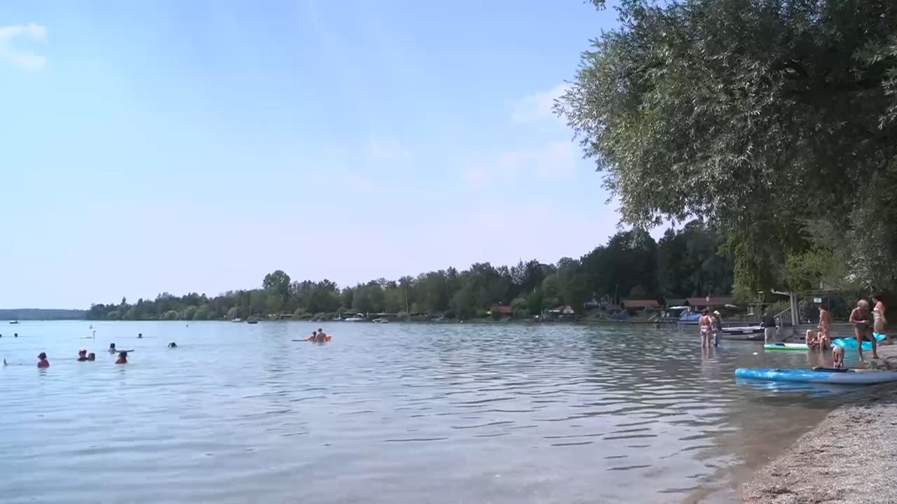 Bilanz nach dem Hitzesommer: Für wen sich das Wetter ausgezahlt hat