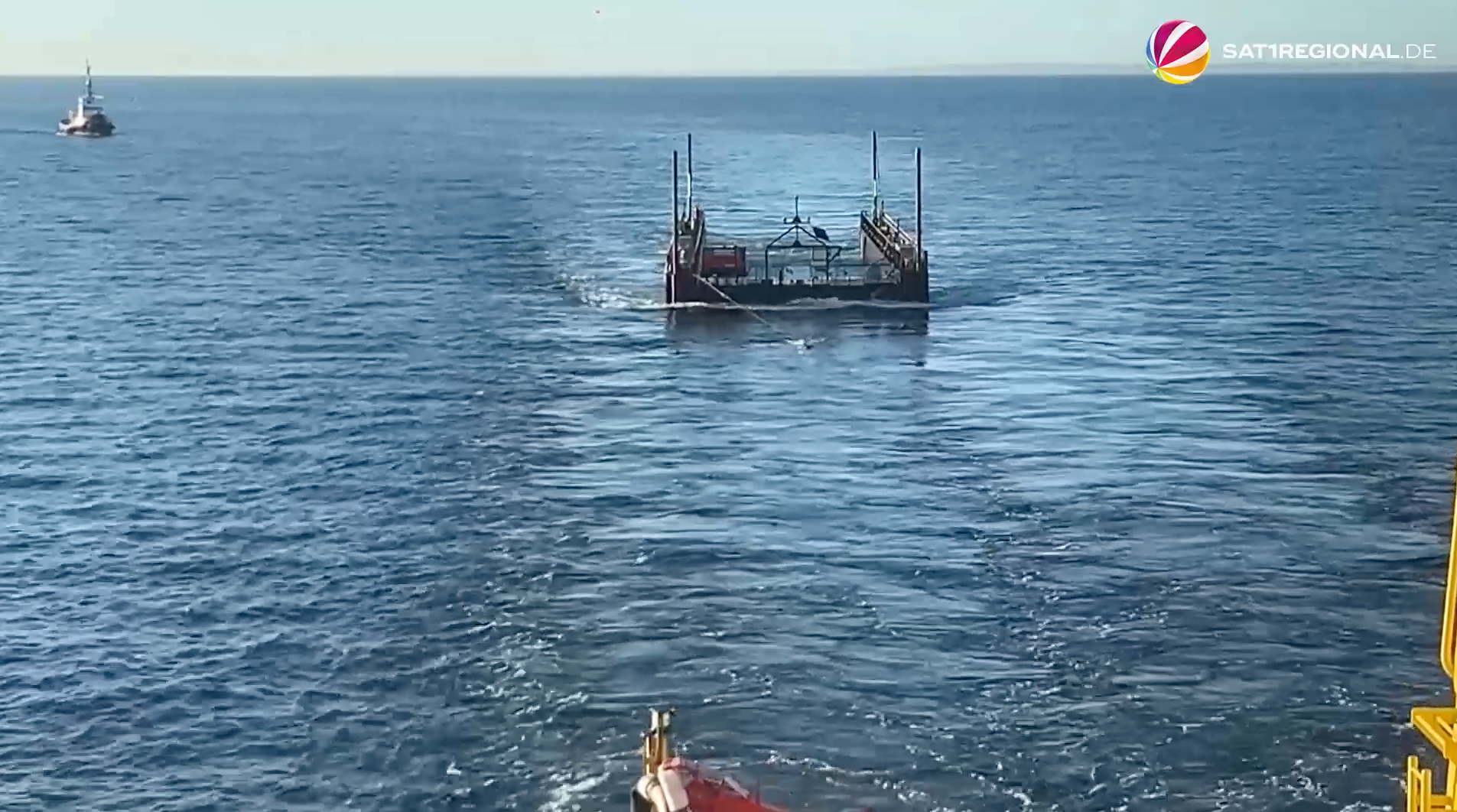 Rettungsaktion für Buckelwal: Riskanter Transport Richtung Nordsee
