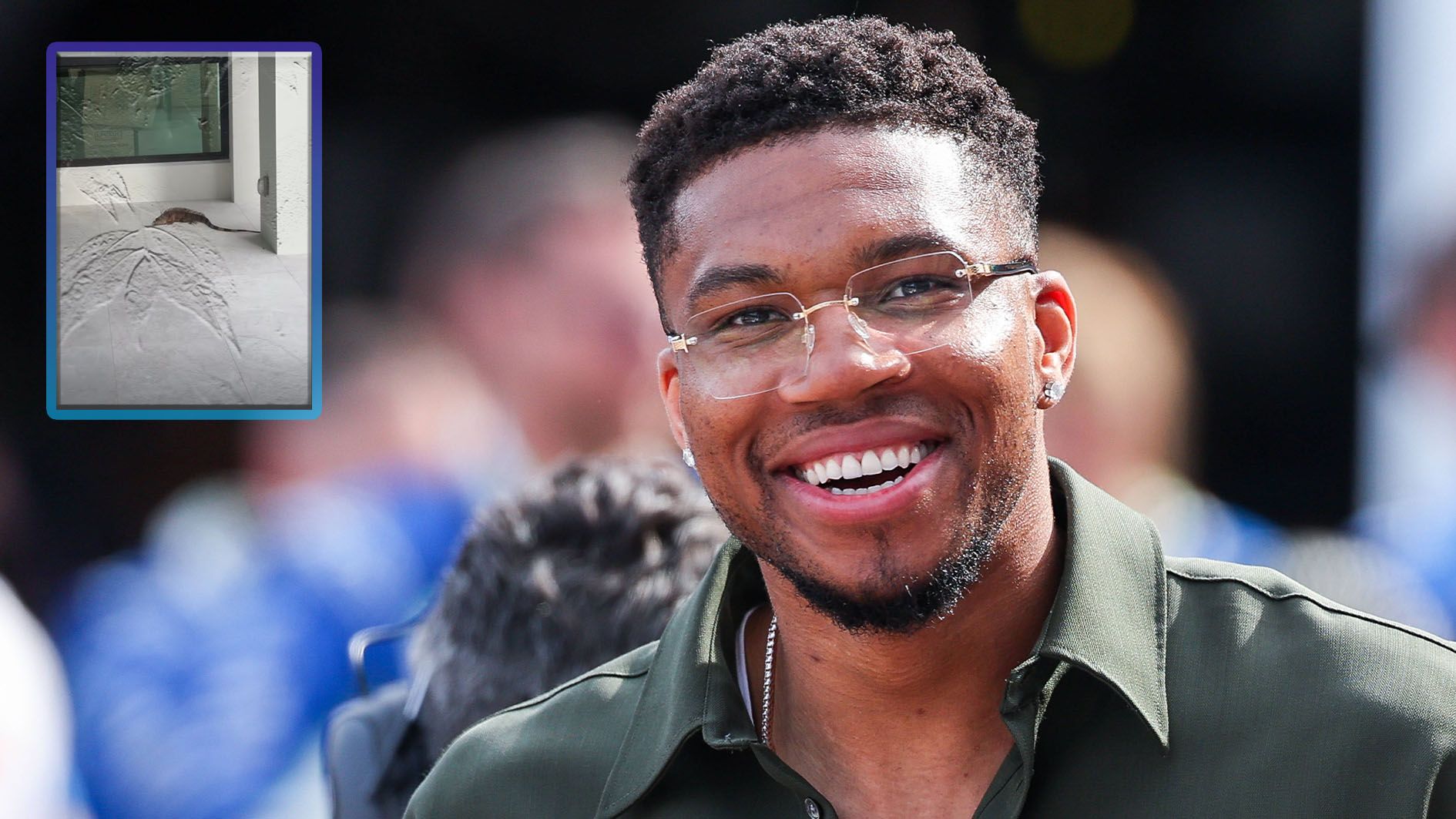 NBA-Star bekommt tierischen Besuch