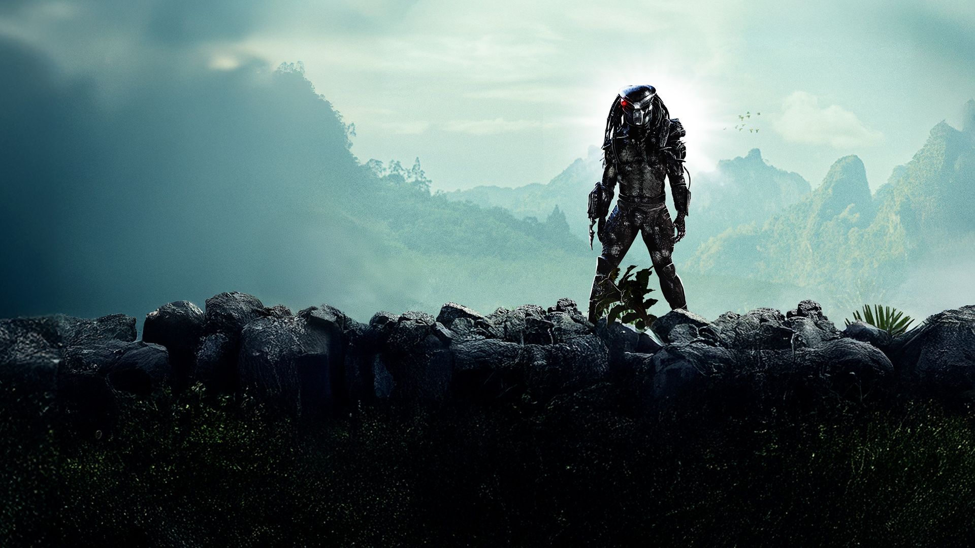 Predator