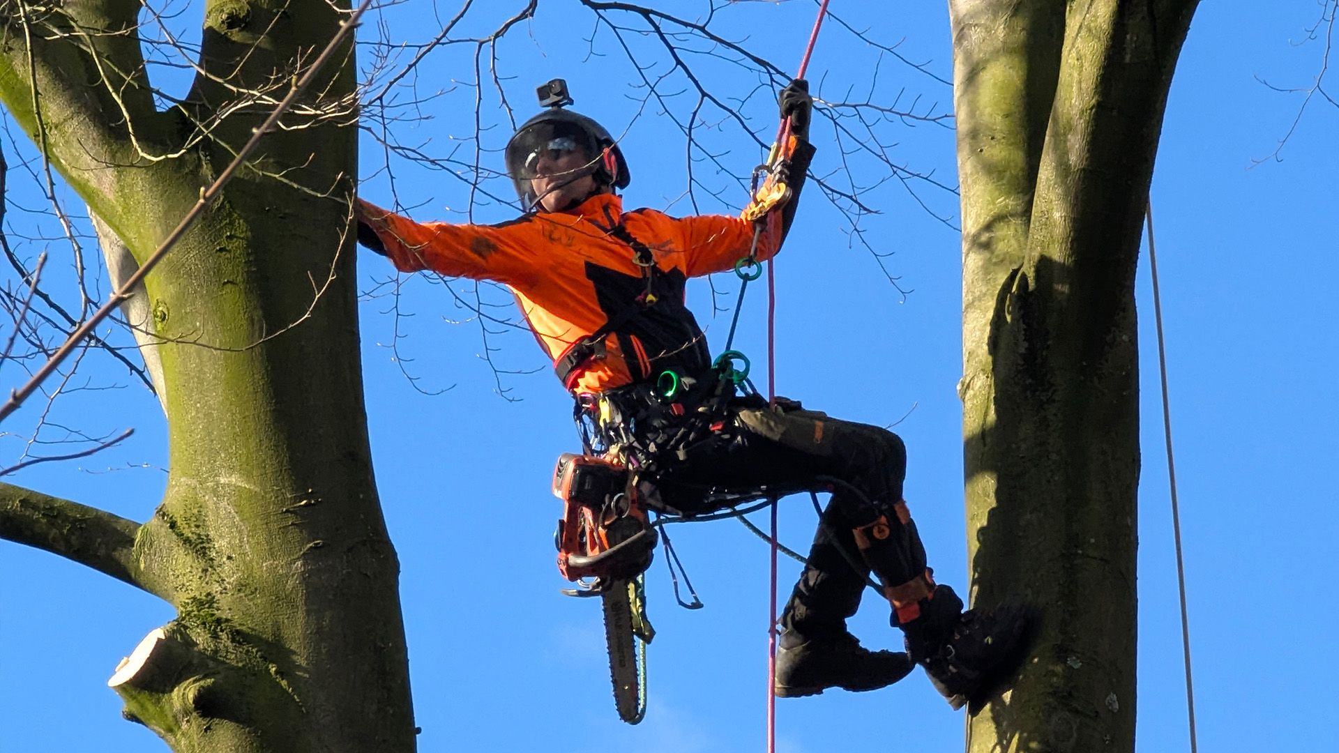 Thema u. a.: Baumkletterer Nico Brosda - Bäume drohen umzustürzen