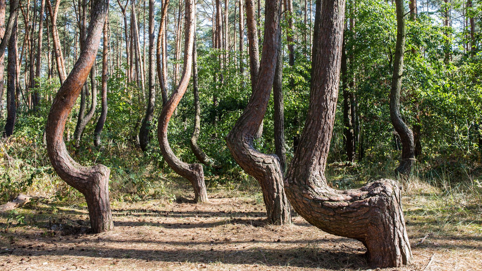 Unnatürlich natürlich