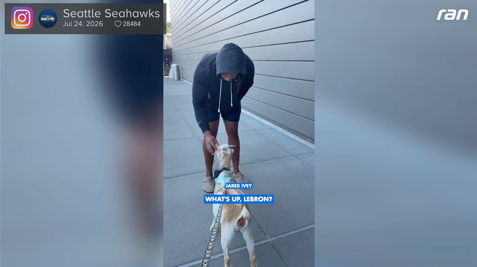 NFL: "Ich füttere LeBron James" - Seahawks feiern Überraschung