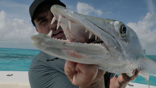Chasing Monsters - Monsterfischen auf der Spur Chasing Monsters - Monsterfischen auf der Spur Folge 2: Tödlicher Biss