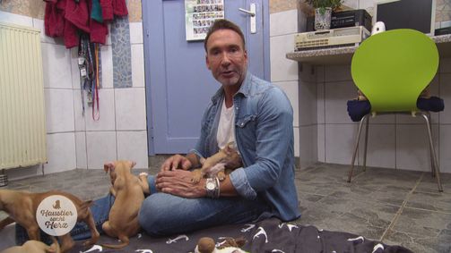 Haustier sucht Herz Staffel 2 Folge 10: Folge 10