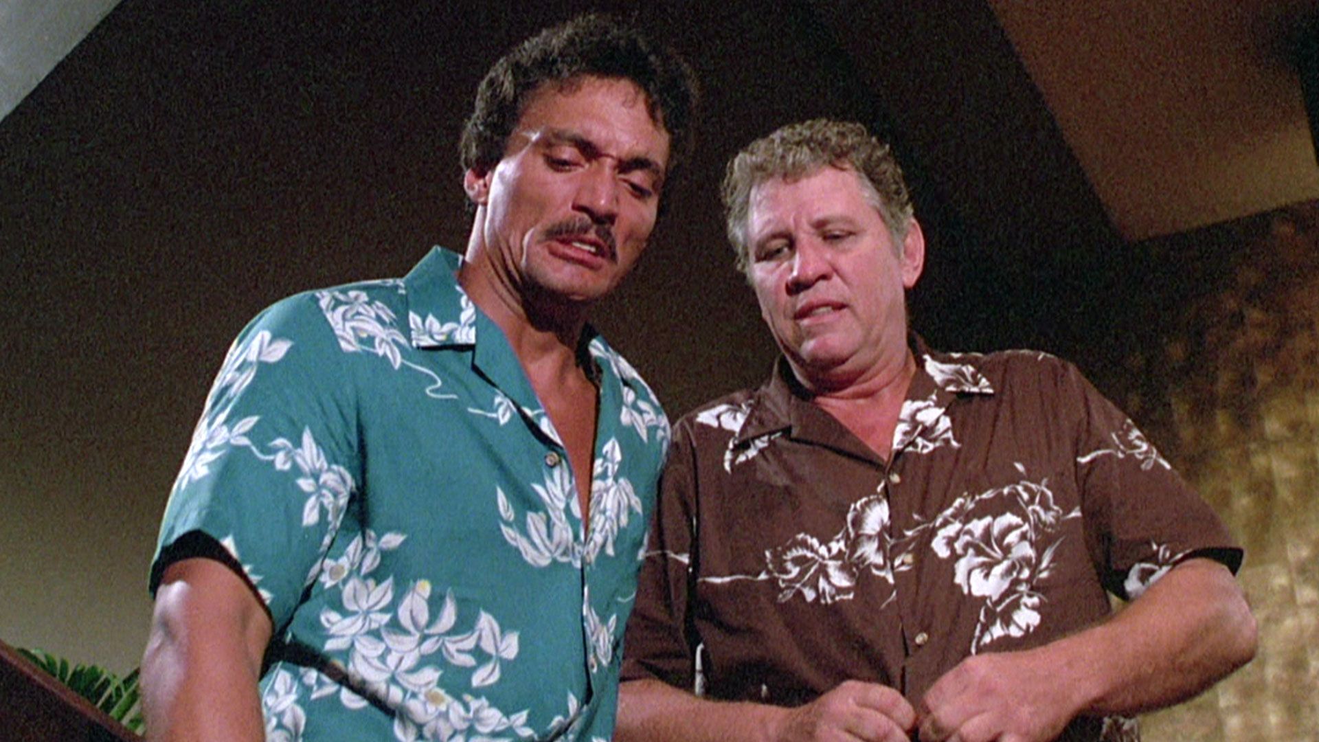 Die Katze lässt das Mausen nicht