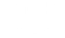 Caught in 4K