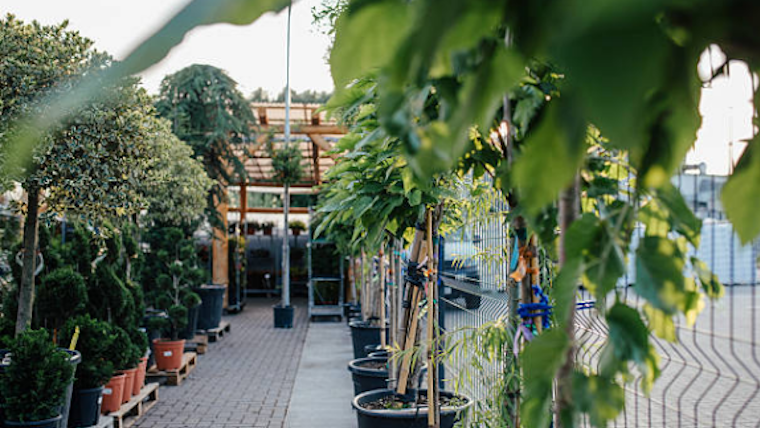Gartencenter Augsburg meldet Insolvenz an
