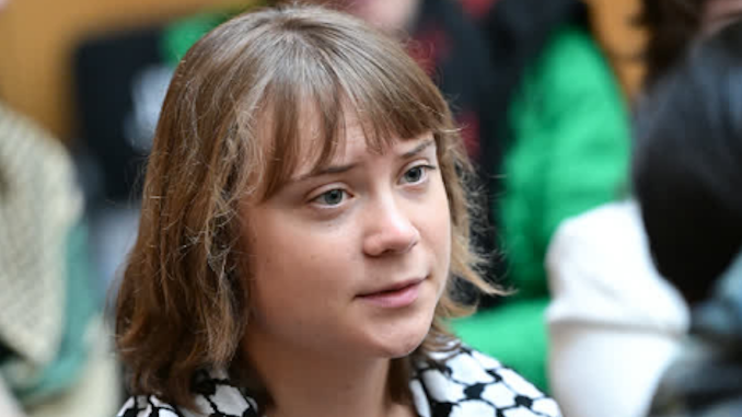 Sabotage? Greta Thunberg spricht vor fast leerem Saal