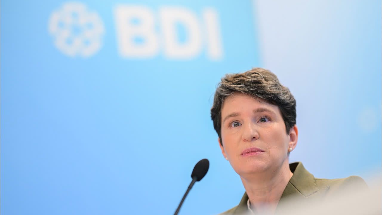 Wirtschaft warnt vor AfD-Regierung in Sachsen-Anhalt