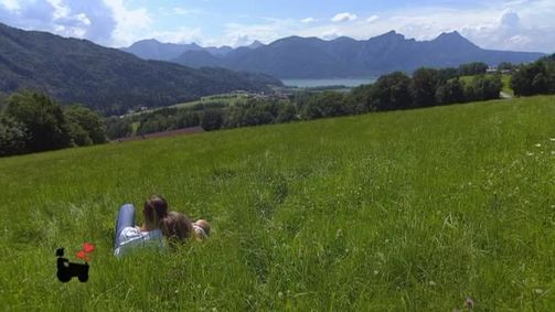 Bauer sucht Frau Bauer sucht Frau - Staffel 13 Folge 17: Bauer sucht Frau Staffel 13 Folge 17 - Die Hofwochen