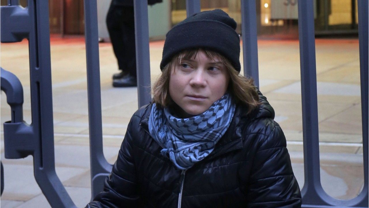 Thunberg bei Gaza-Protest festgenommen