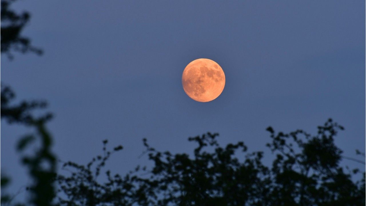 Erdbeermond: Das steckt hinter dem Juni-Vollmond