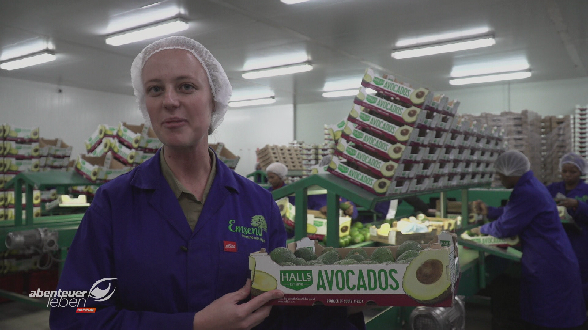 Supermarkt-Geheimnisse: Avocado, Gorgonzola & Co.