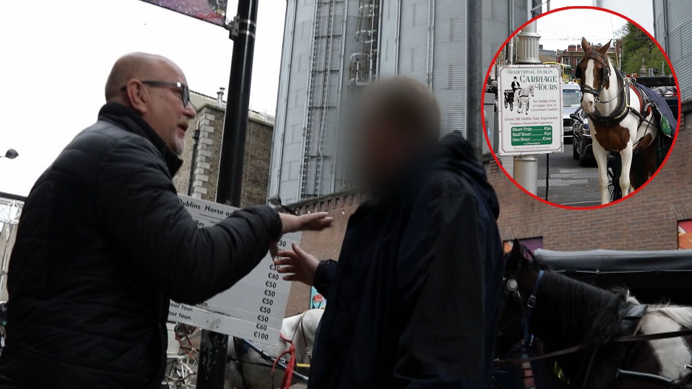 Kutschfahrt gerät bei "Achtung Abzocke" in Dublin aus dem Ruder