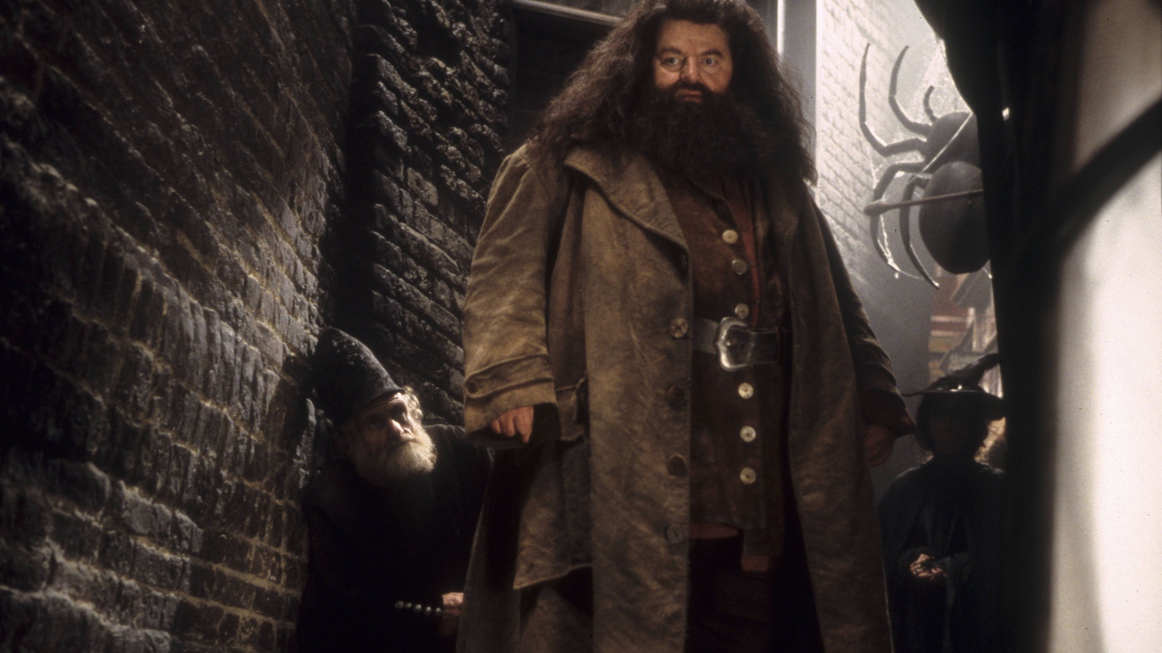 Neuer Hagrid: Das halten die "Harry Potter"-Fans vom Serien-Look