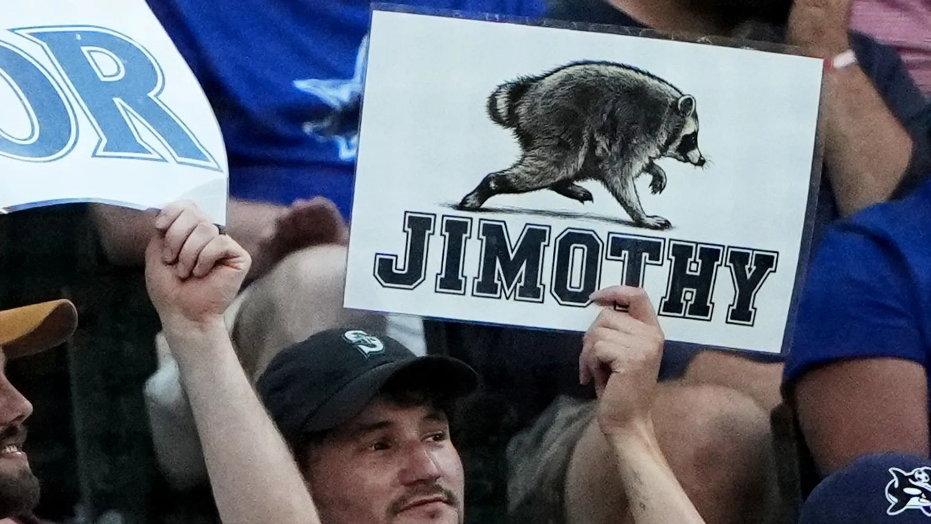 Photo: newstime.joyn.de Viral Raccoon "Jimothy" Becomes Internet Sensation in Seattle
