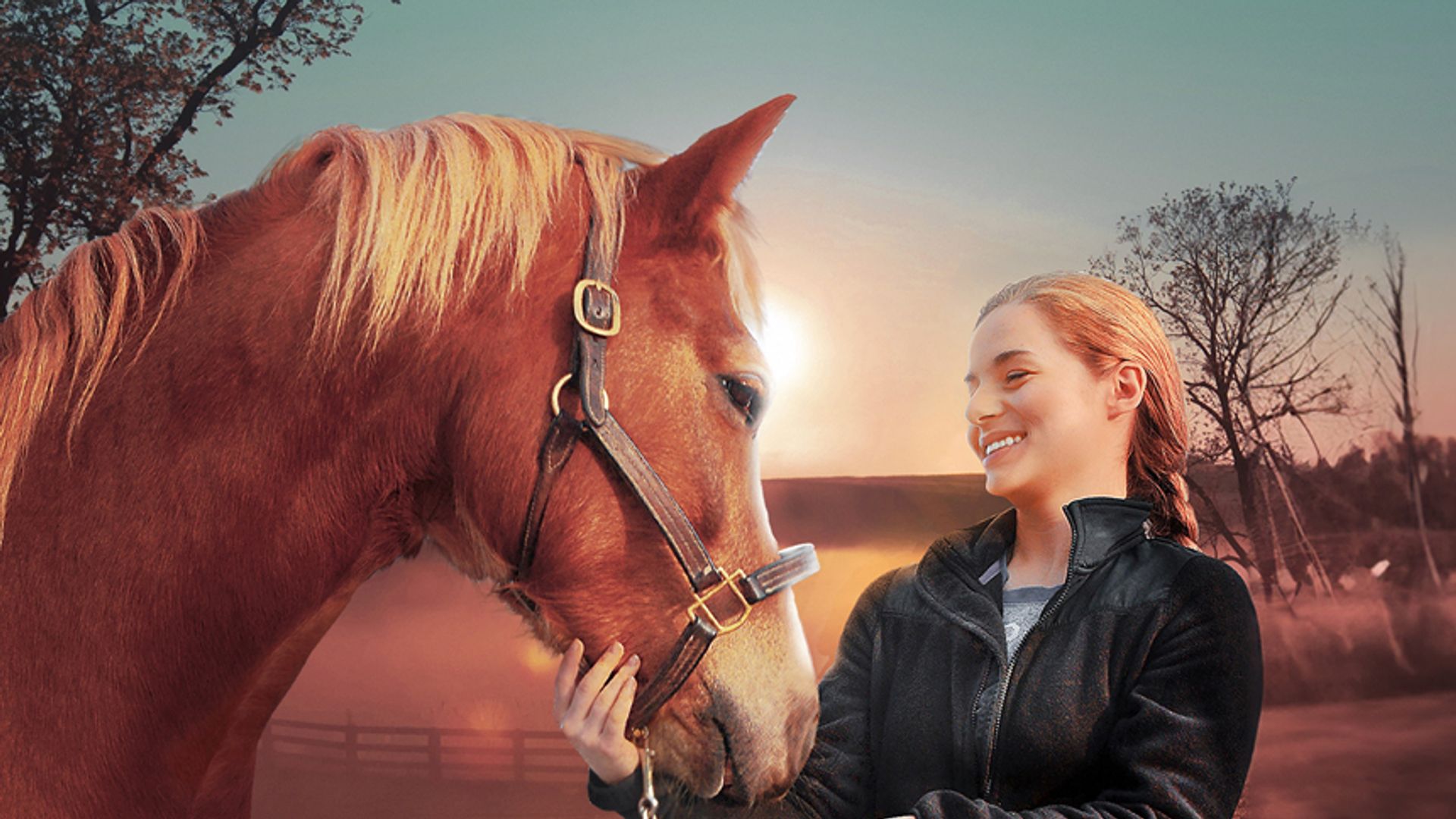 Ein Pferd für Lizzy - Mein Freund fürs Leben