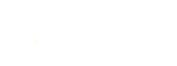 The President's Man 2 - A Line in the Sand