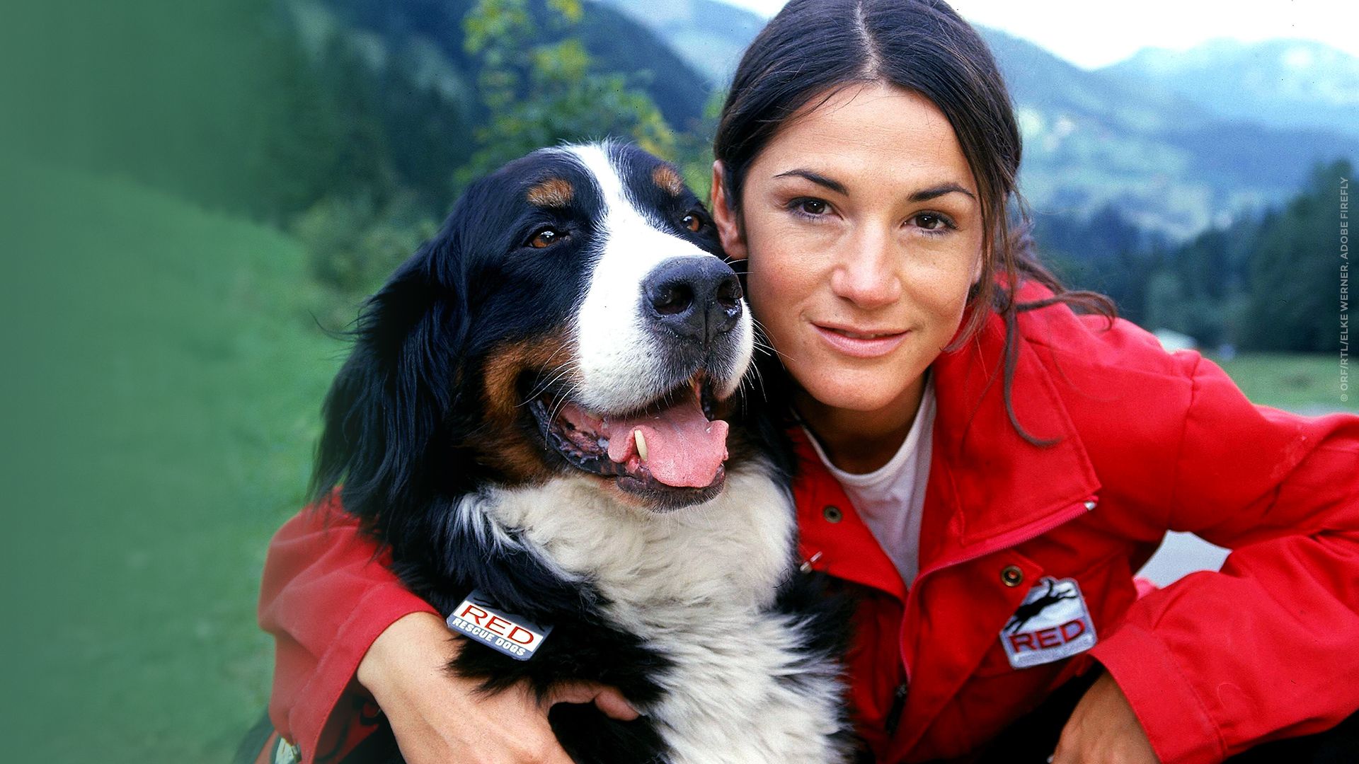 Die Rettungshunde - Hochzeitsreise in den Tod