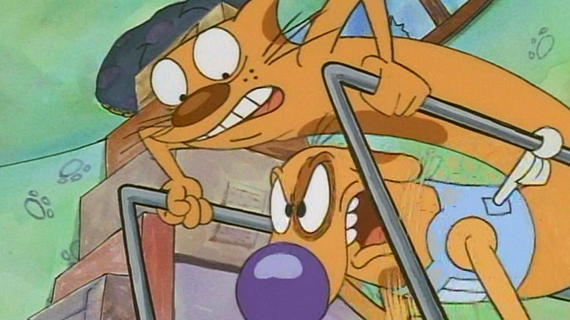 Dog Dynamo / Besuch im Dschungel