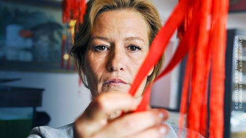 Der Chinese Der Chinese Folge 1: Der Chinese: Teil 1