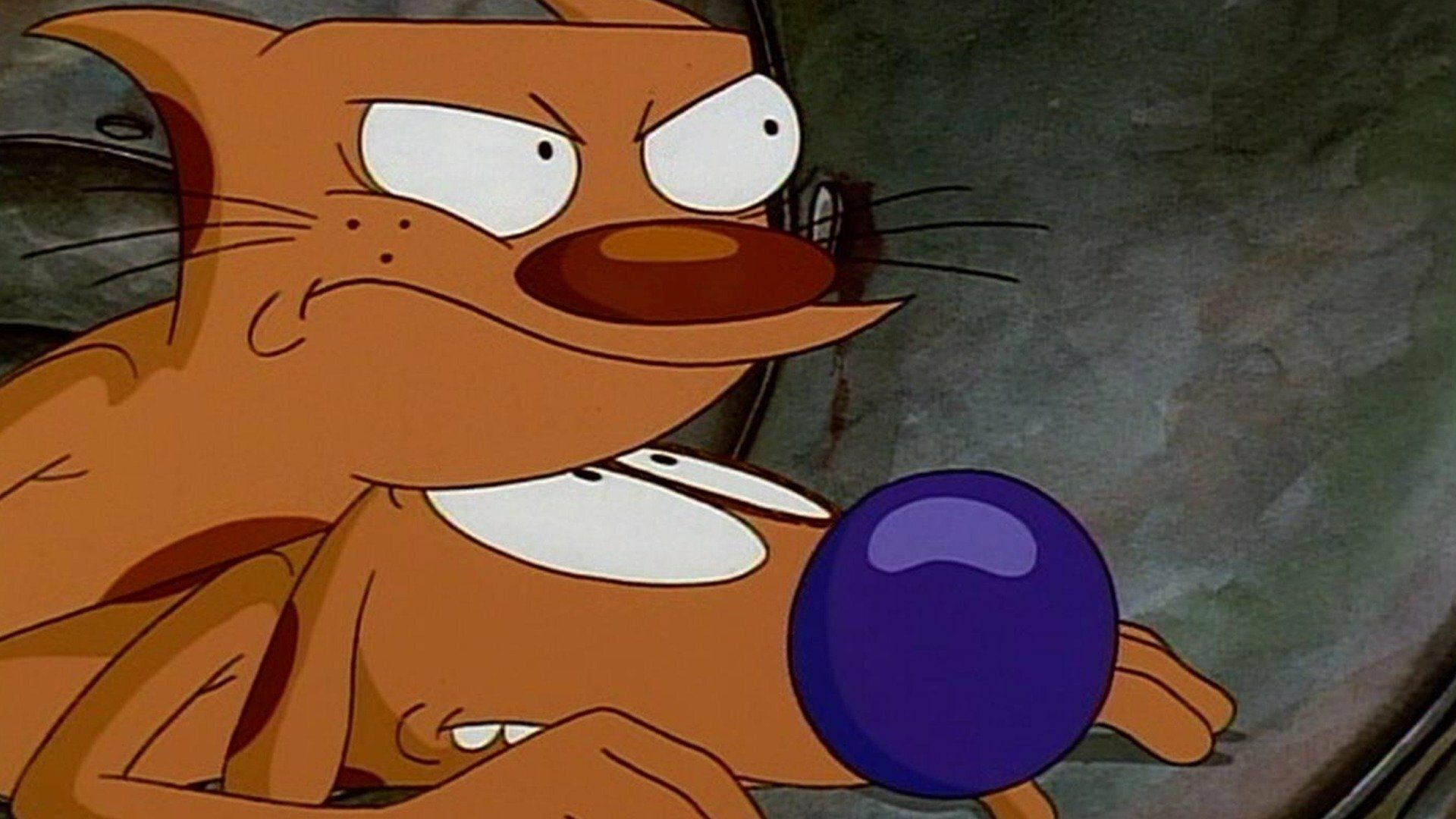 Hundemarathon / Winslows große Liebe