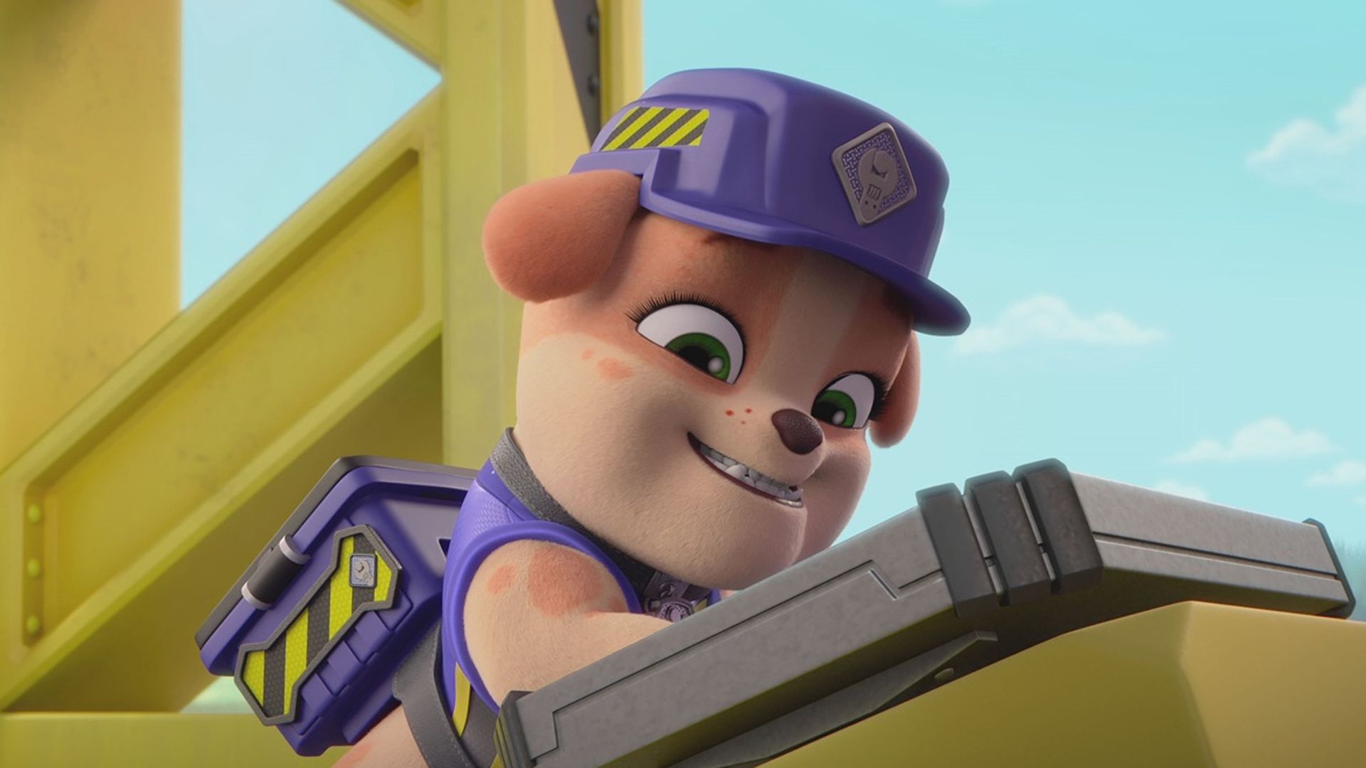 Die Crew und Skye bauen eine Berghütte