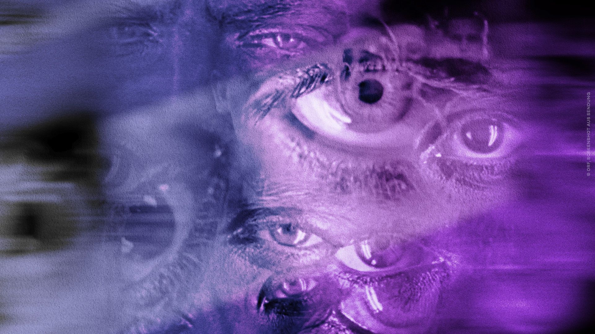 Sex.Macht.Manipulation