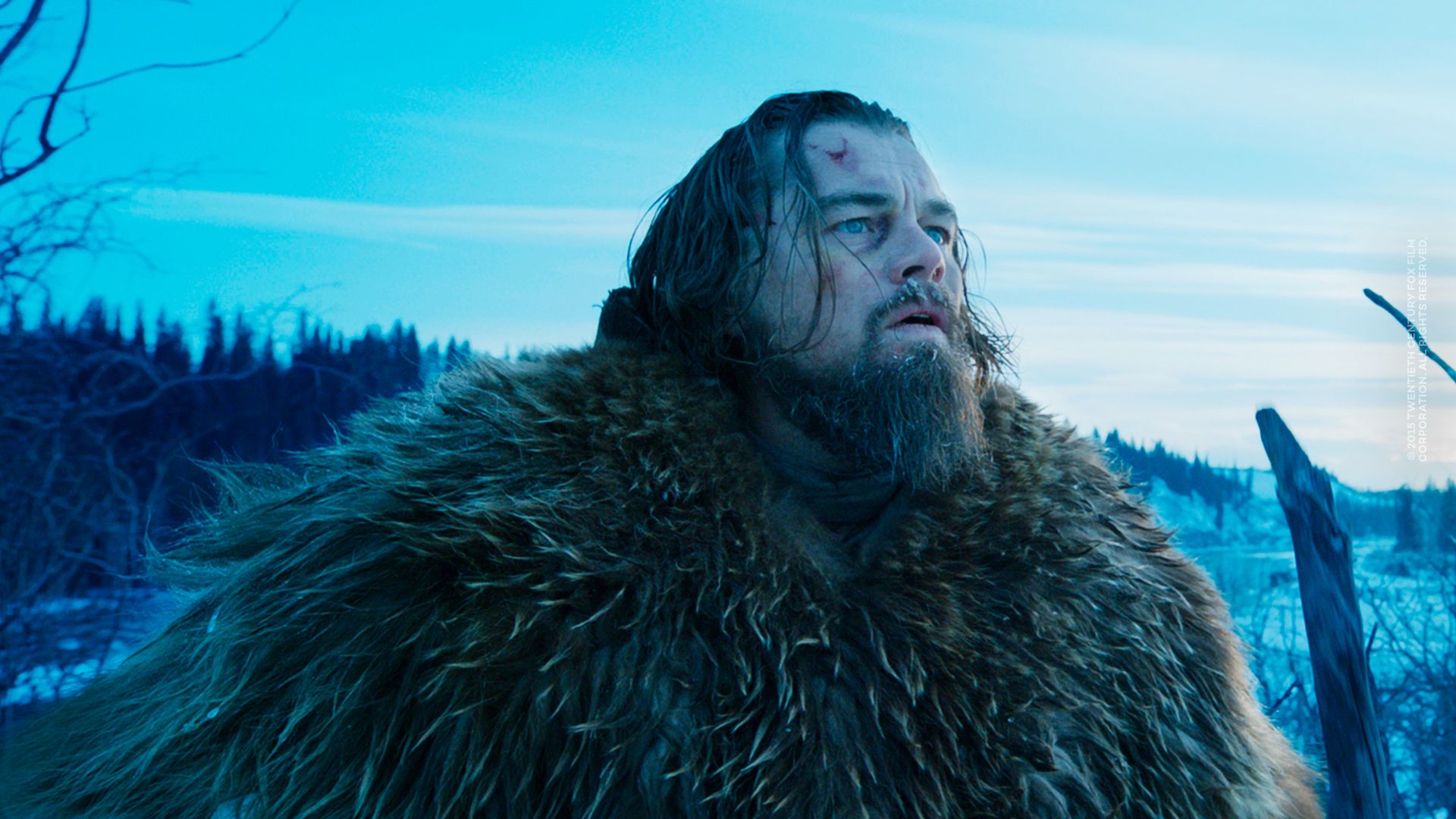 The Revenant - Der Rückkehrer