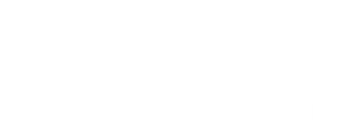 Die gestohlene Hochzeit