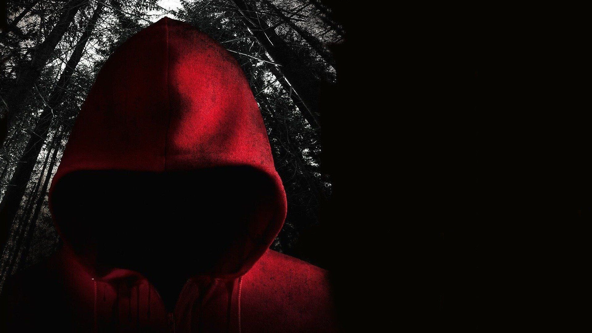 Hidden - Lass die Vergangenheit ruhen