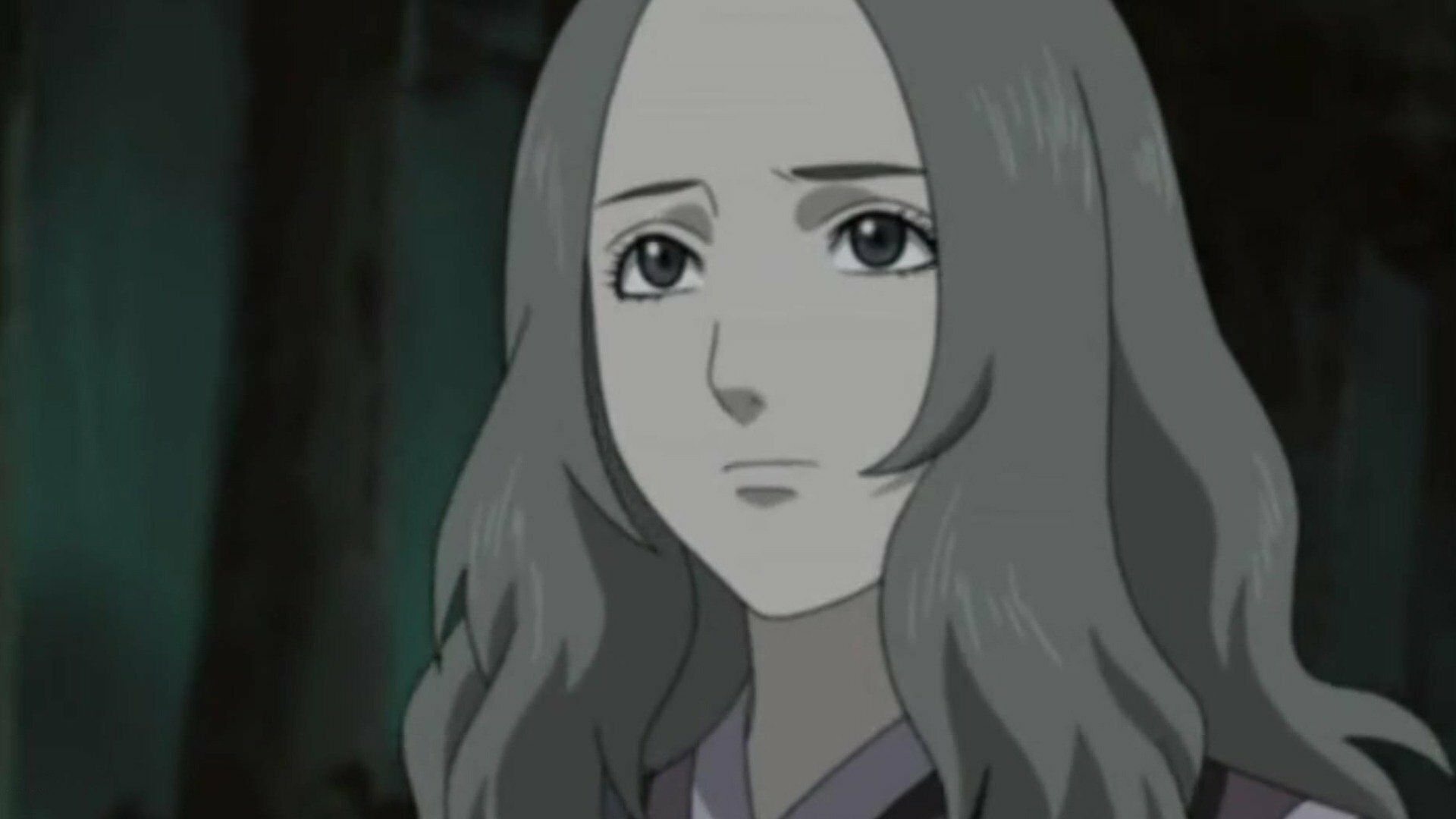 Lady Hotaru und der rätselhafte Wanderer