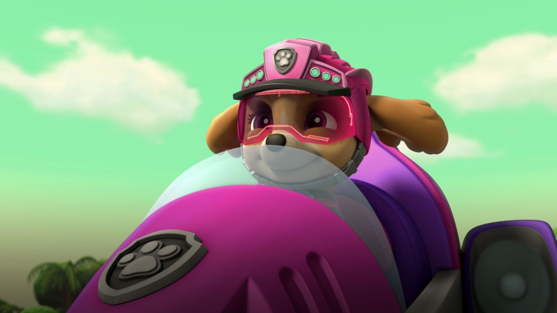 Dino-Rettung: Die Welpen und der Dino-Doc  / Dino-Rettung: Die Welpen und der  Triceratops