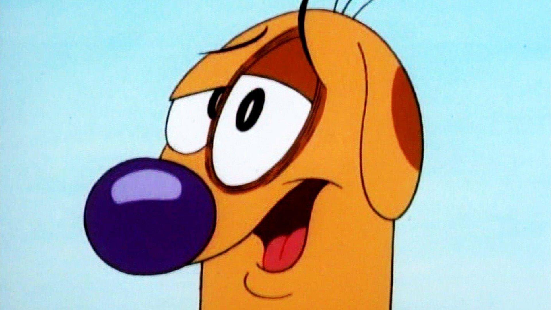 Floh oder Angriff / CatDog Futter