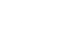 Ins Wilde Land