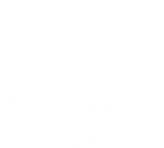 Mein etwas anderer Florida Sommer