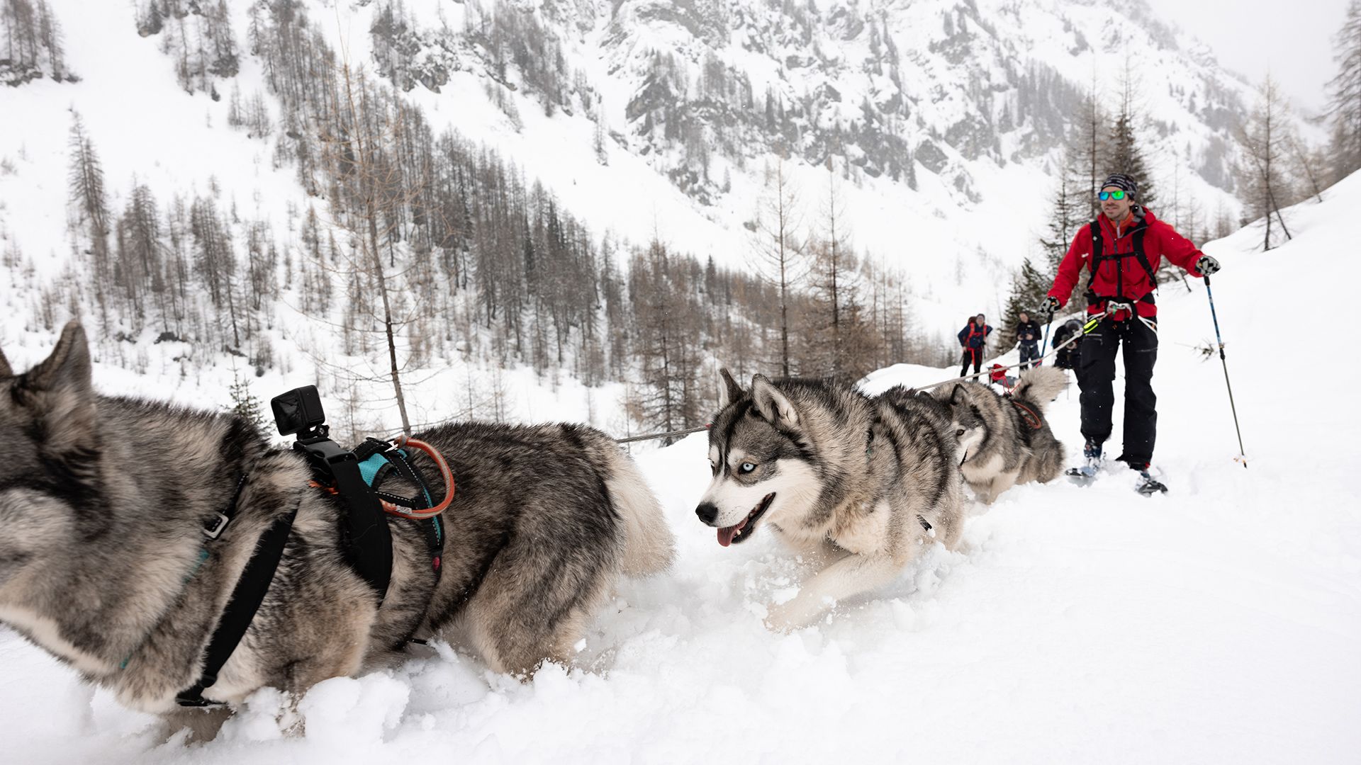 Ein Winter im Lechtal