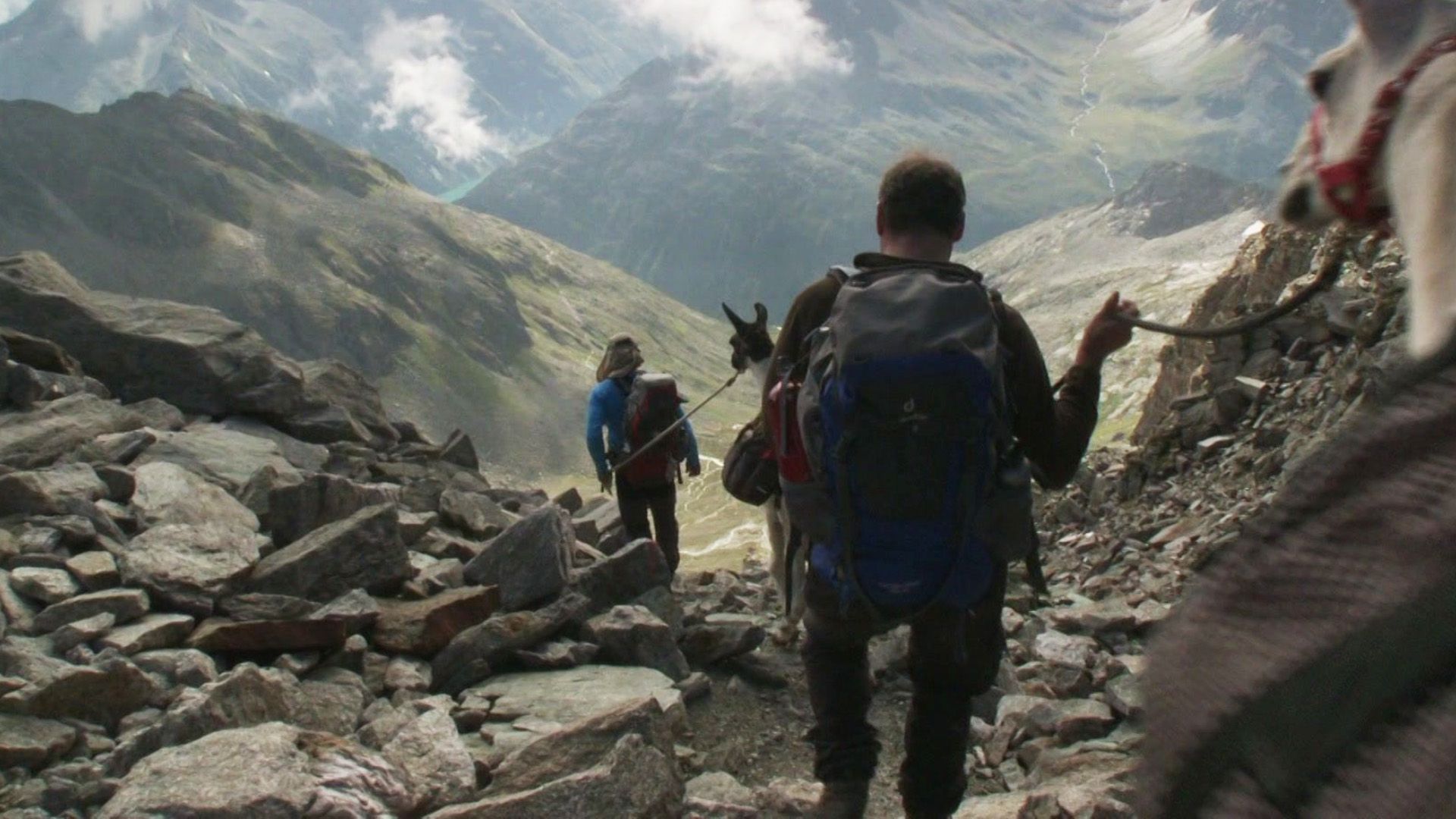 Über alle Berge - Zwei Tiroler und zwei Lamas