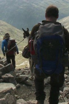 Über alle Berge - Zwei Tiroler und zwei Lamas