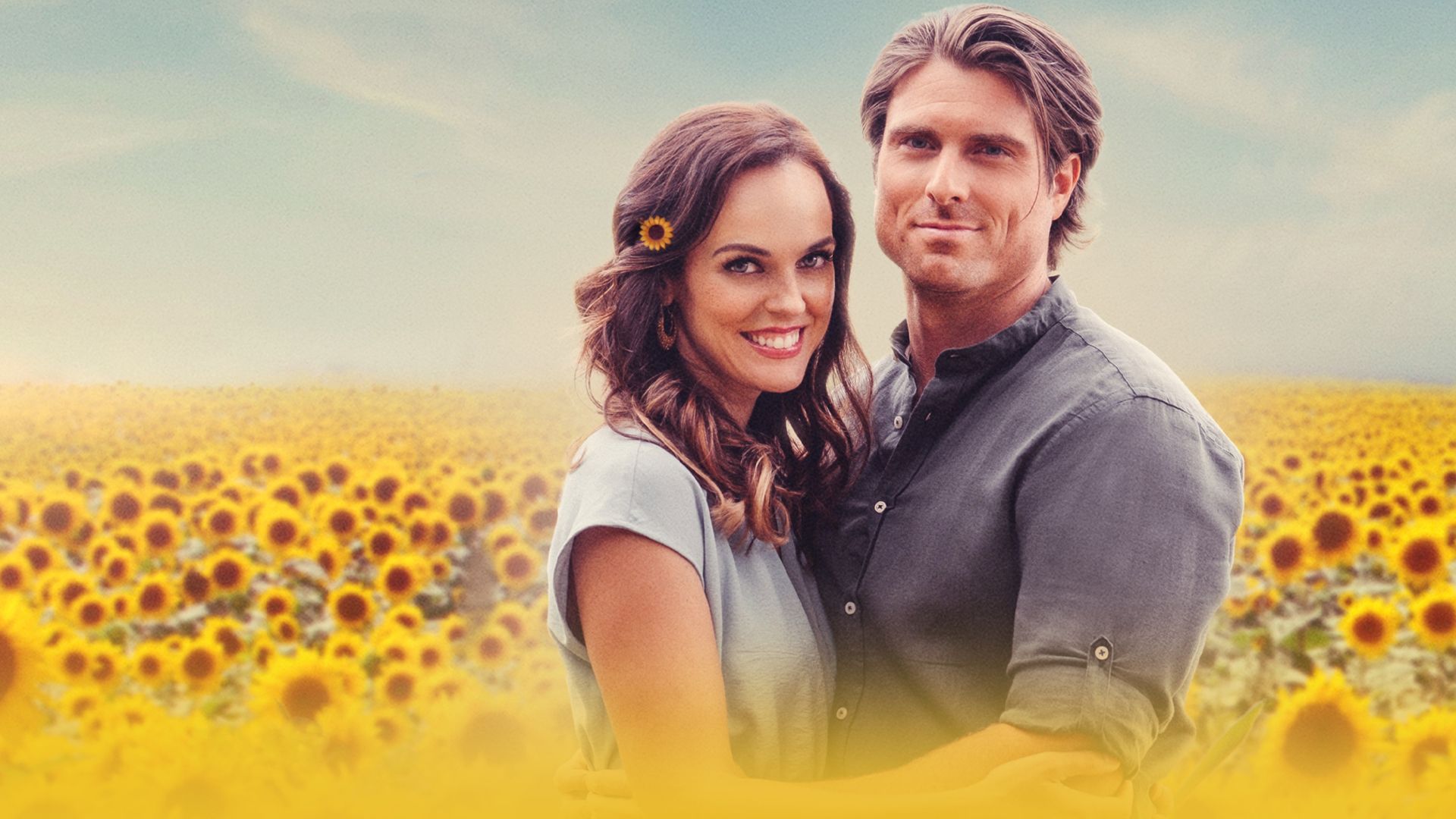 Liebe im Sonnenblumenfeld