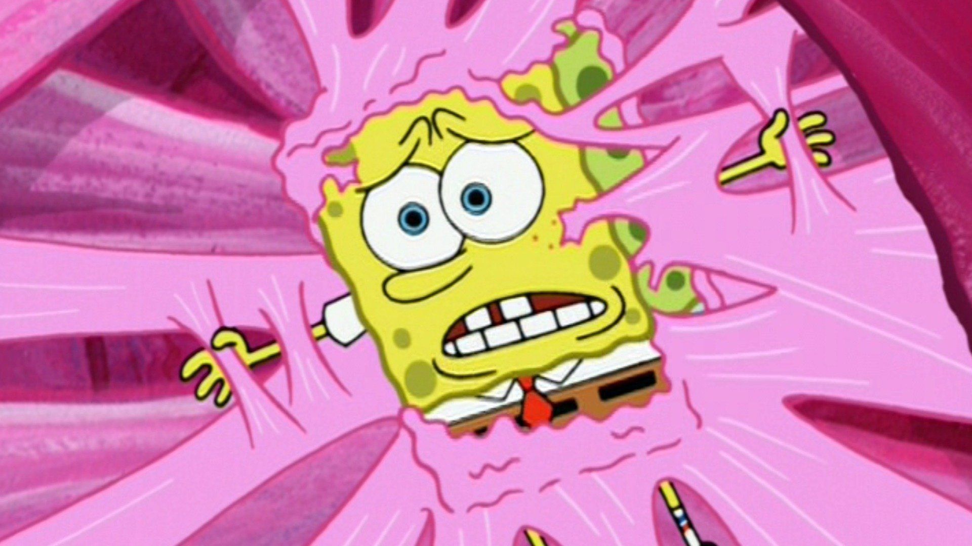 Der allerschönste Tag / Gummilein