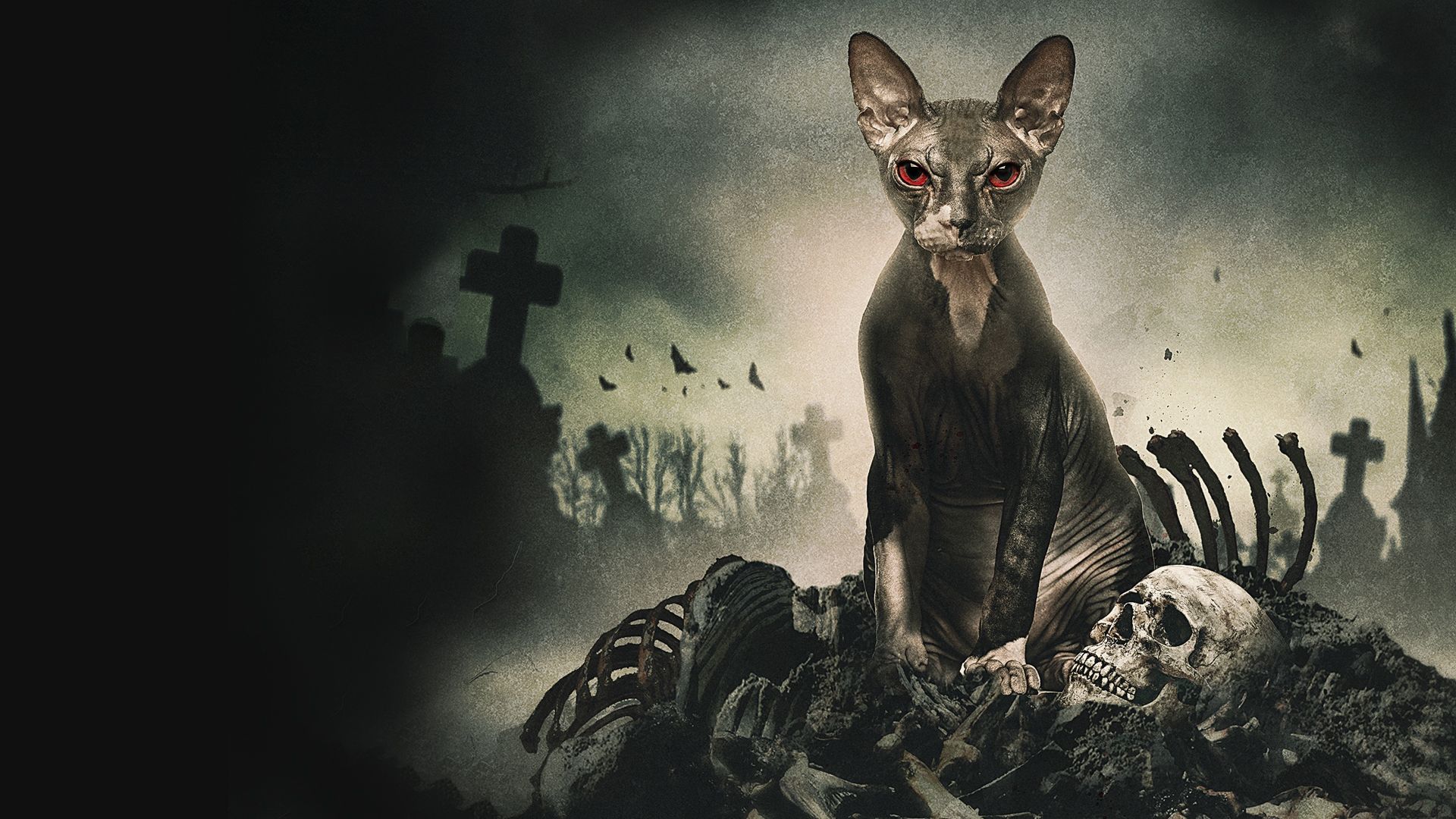 Friedhof am Ende der Welt - Pet Graveyard