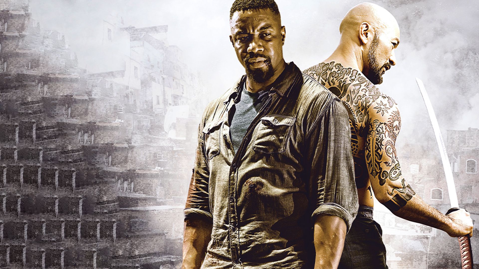 Falcon Rising