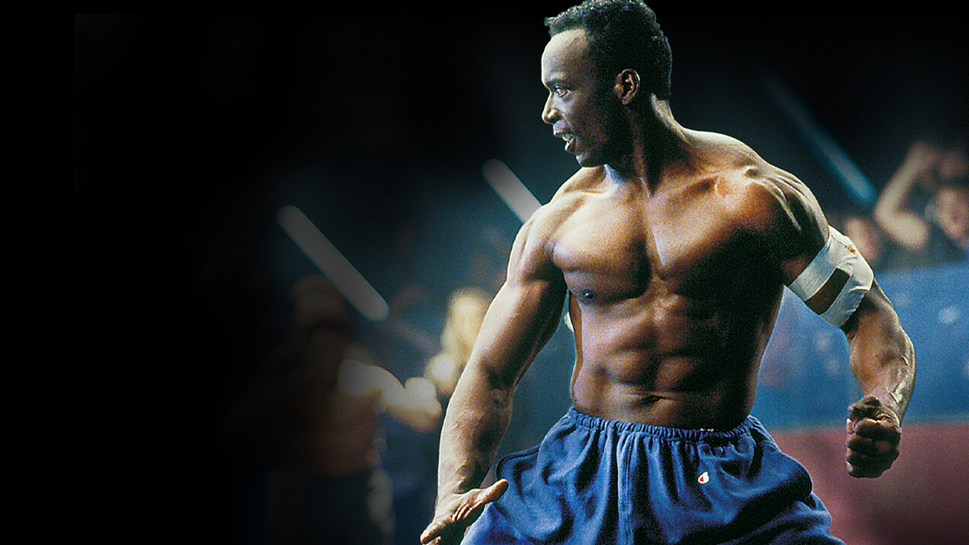 American Karate Tiger